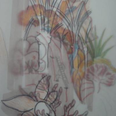 Catégorie par défaut